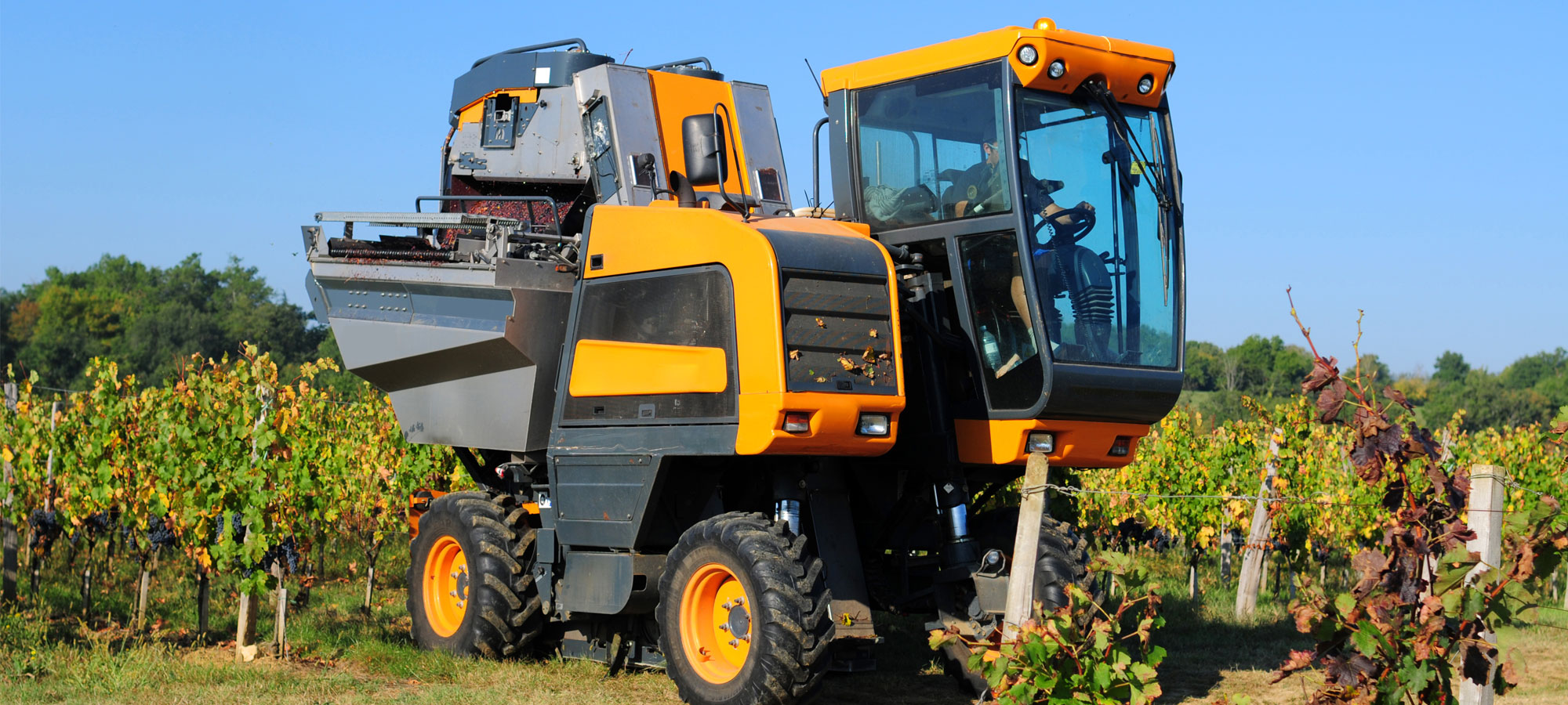 Grape Harvester