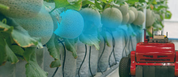 Select Correct Machine